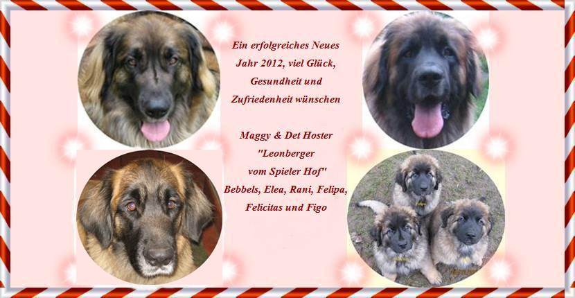 Leonberger vom Spieler Hof
